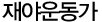 재야운동가